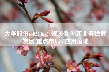 大华股份(002236)：海外和创新业务稳健发展 重点布局AI应用落地