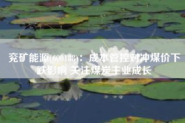 兖矿能源(600188)：成本管控对冲煤价下跌影响 关注煤炭主业成长