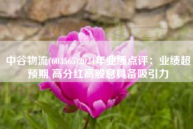 中谷物流(603565)2024年业绩点评：业绩超预期 高分红高股息具备吸引力