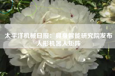 太平洋机械日报：具身智能研究院发布人形机器人矩阵