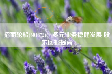 招商轮船(601872)：多元业务稳健发展 股东回报提高