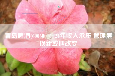青岛啤酒(600600)：24年收入承压 管理层换新或迎改变