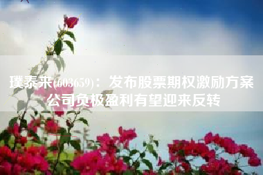 璞泰来(603659)：发布股票期权激励方案 公司负极盈利有望迎来反转