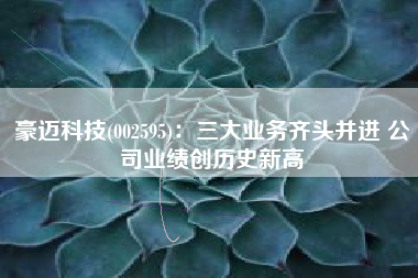 豪迈科技(002595)：三大业务齐头并进 公司业绩创历史新高