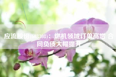 应流股份(603308)：燃机领域订单高增 合同负债大幅提升