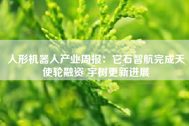 人形机器人产业周报：它石智航完成天使轮融资 宇树更新进展
