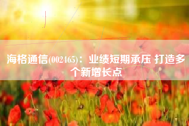 海格通信(002465)：业绩短期承压 打造多个新增长点