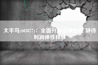 太平鸟(603877)：全面升级品牌形象 静待利润弹性释放