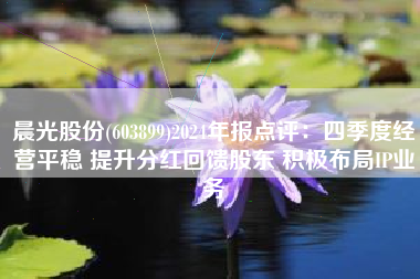 晨光股份(603899)2024年报点评：四季度经营平稳 提升分红回馈股东 积极布局IP业务