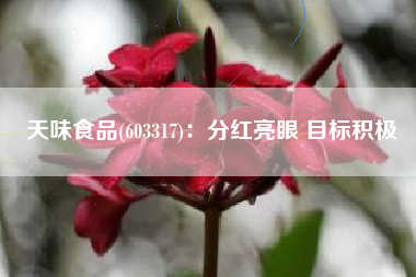 天味食品(603317)：分红亮眼 目标积极