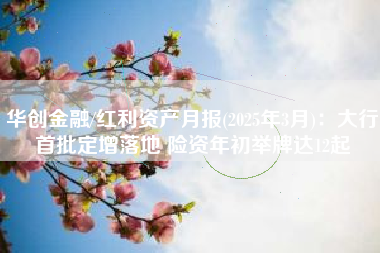 华创金融/红利资产月报(2025年3月)：大行首批定增落地 险资年初举牌达12起