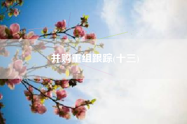 并购重组跟踪(十三)