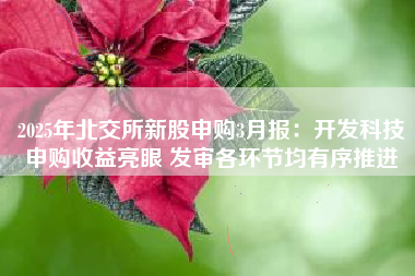 2025年北交所新股申购3月报：开发科技申购收益亮眼 发审各环节均有序推进