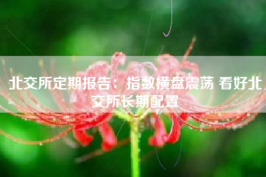 北交所定期报告：指数横盘震荡 看好北交所长期配置