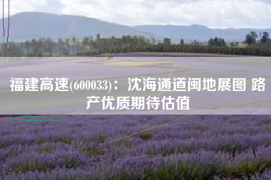 福建高速(600033)：沈海通道闽地展图 路产优质期待估值