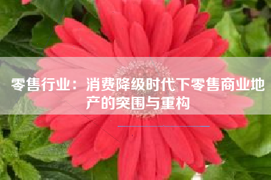 零售行业：消费降级时代下零售商业地产的突围与重构