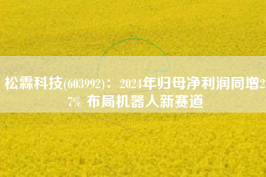 松霖科技(603992)：2024年归母净利润同增27% 布局机器人新赛道