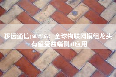 移远通信(603236)：全球物联网模组龙头 有望受益端侧AI应用