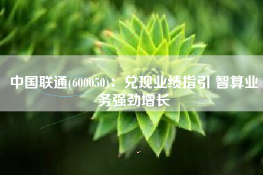 中国联通(600050)：兑现业绩指引 智算业务强劲增长
