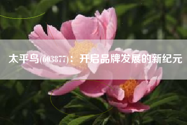 太平鸟(603877)：开启品牌发展的新纪元