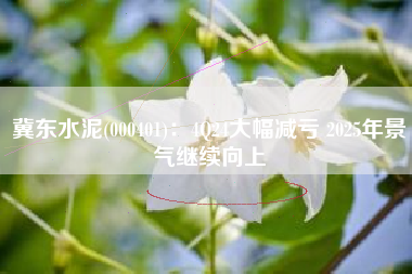 冀东水泥(000401)：4Q24大幅减亏 2025年景气继续向上