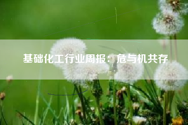 基础化工行业周报：危与机共存