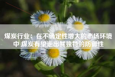 煤炭行业：在不确定性增大的市场环境中 煤炭有望走出其独特的防御性