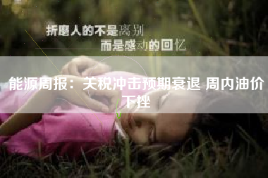 能源周报：关税冲击预期衰退 周内油价下挫