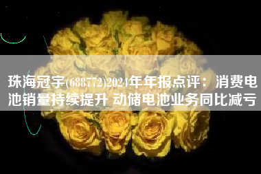 珠海冠宇(688772)2024年年报点评：消费电池销量持续提升 动储电池业务同比减亏
