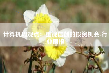 计算机周观点：重视信创的投资机会-行业周报