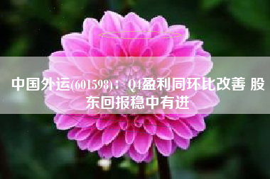 中国外运(601598)：Q4盈利同环比改善 股东回报稳中有进