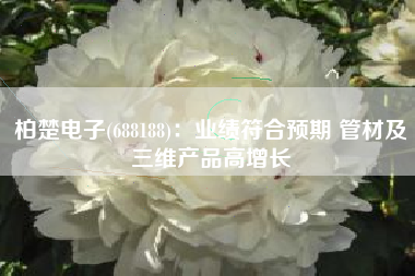 柏楚电子(688188)：业绩符合预期 管材及三维产品高增长