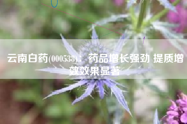 云南白药(000538)：药品增长强劲 提质增效效果显著