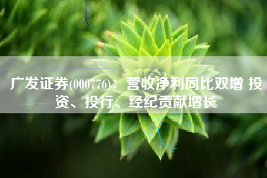 广发证券(000776)：营收净利同比双增 投资、投行、经纪贡献增长