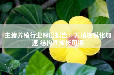 生猪养殖行业深度报告：养殖规模化加速 结构性成长可期