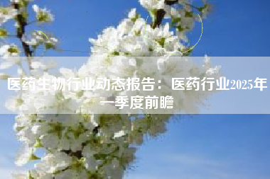 医药生物行业动态报告：医药行业2025年一季度前瞻