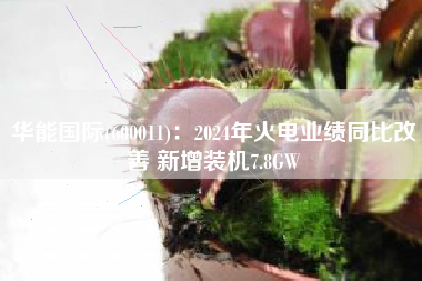 华能国际(600011)：2024年火电业绩同比改善 新增装机7.8GW