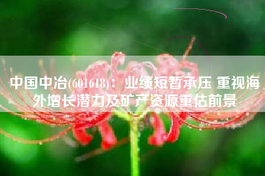 中国中冶(601618)：业绩短暂承压 重视海外增长潜力及矿产资源重估前景