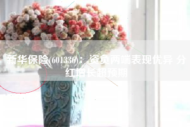 新华保险(601336)：资负两端表现优异 分红增长超预期