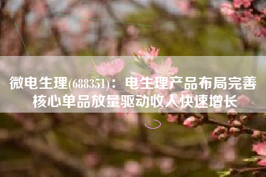 微电生理(688351)：电生理产品布局完善 核心单品放量驱动收入快速增长