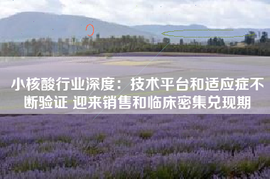 小核酸行业深度：技术平台和适应症不断验证 迎来销售和临床密集兑现期