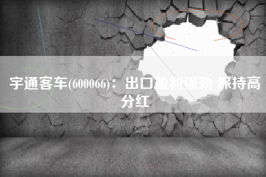 宇通客车(600066)：出口盈利强劲 保持高分红