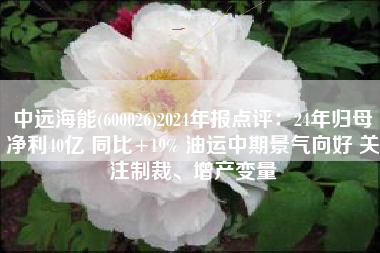 中远海能(600026)2024年报点评：24年归母净利40亿 同比+19% 油运中期景气向好 关注制裁、增产变量