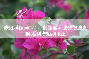 康冠科技(001308)：创新显示业务增速亮眼 毛利率短期承压