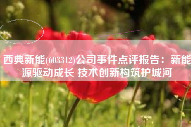 西典新能(603312)公司事件点评报告：新能源驱动成长 技术创新构筑护城河
