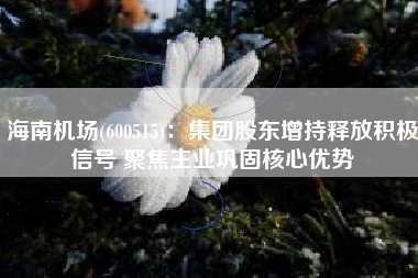 海南机场(600515)：集团股东增持释放积极信号 聚焦主业巩固核心优势