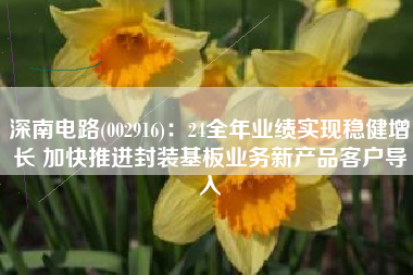 深南电路(002916)：24全年业绩实现稳健增长 加快推进封装基板业务新产品客户导入