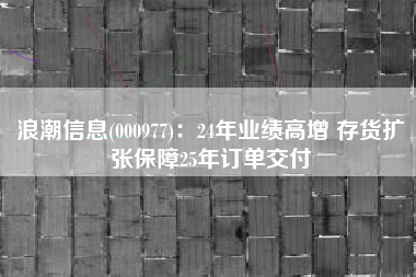 浪潮信息(000977)：24年业绩高增 存货扩张保障25年订单交付