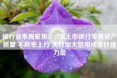 银行业本周聚焦：23家上市银行零售资产质量 不良率上行 大行加大信用成本计提力度