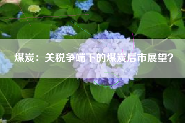 煤炭：关税争端下的煤炭后市展望？